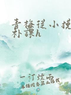 青梅从小摸到大补课h