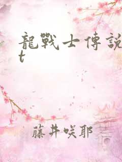 龙战士传说txt