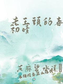 老王头的春天林初晴