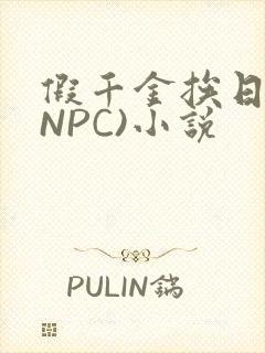 假千金挨日记(NPC)小说