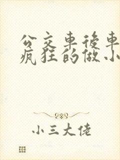 公交车后车座的疯狂的做小