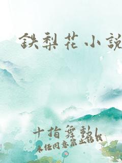 铁梨花小说
