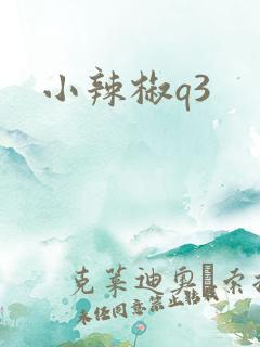 小辣椒q3