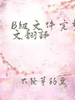 B级文件完整中文翻译