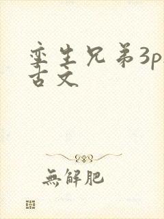 孪生兄弟3ph古文