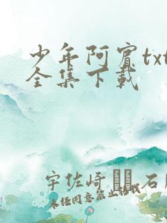 少年阿宾txt全集下载