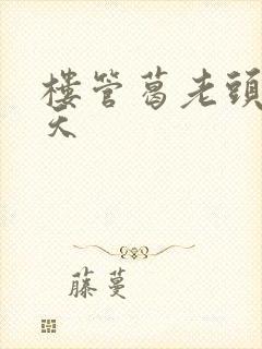 楼管葛老头的春天