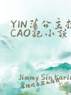 YIN荡公主挨CAO记小说