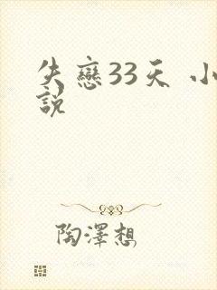 失恋33天 小说