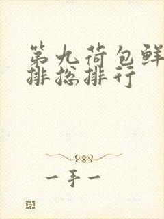 第九荷包鲜辣肉排总排行