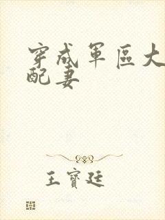 穿成军区大佬女配妻