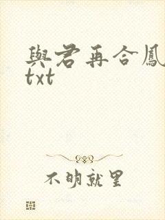 与君再合凤求凰txt