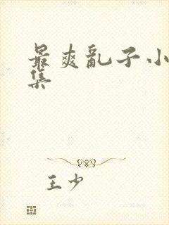 最爽乱子小说合集