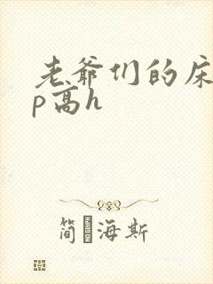 老爷们的床奴np高h