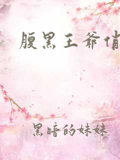 腹黑王爷俏医妃