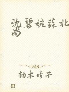 沈碧婉苏北宸和尚