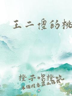 王二傻的桃花运