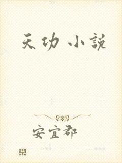 天功 小说