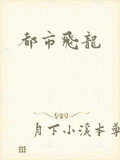 都市飞龙