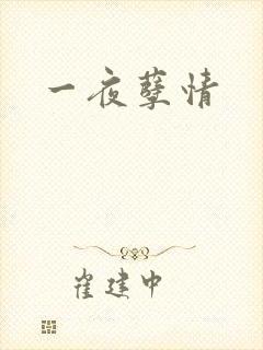 一夜孽情