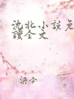 沈北小说免费阅读全文