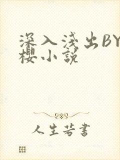 深入浅出BY胖樱小说