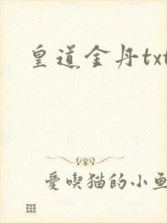 皇道金丹txt