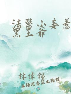 法医小妾惹上腹黑王爷