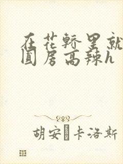 在花轿里就开始圆房高辣h