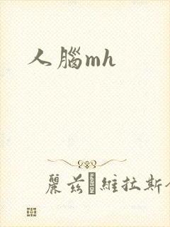 人脑mh