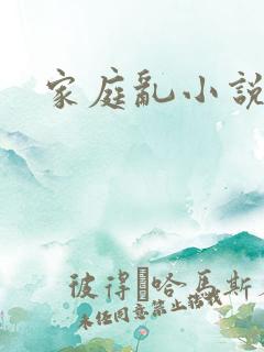家庭乱小说