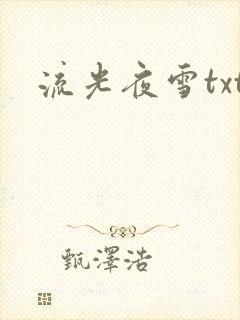 流光夜雪txt