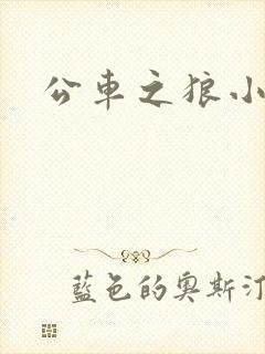 公车之狼小说