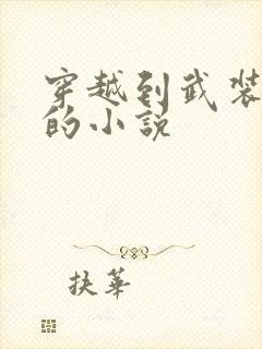 穿越到武装少女的小说