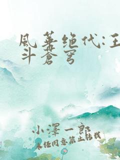 风华绝代:王妃斗苍穹