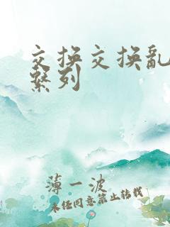 交换交换乱杂烩系列