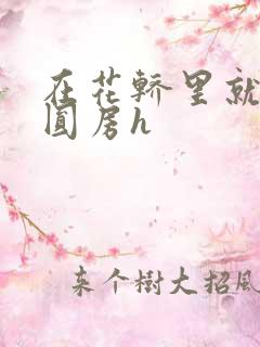 在花轿里就开始圆房h