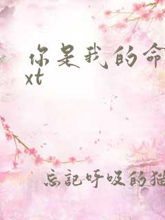 你是我的命运txt