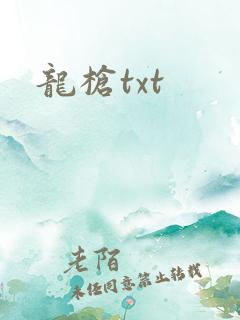龙枪txt