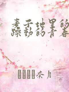 麦子地里的故事躁动的青春小说