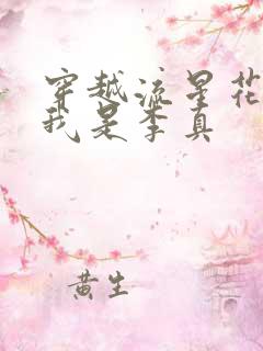 穿越流星花园之我是李真