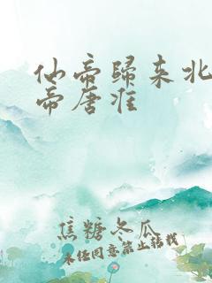 仙帝归来北斗仙帝唐准