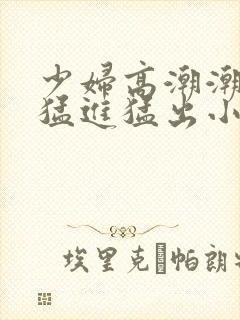 少妇高潮潮喷到猛进猛出小说