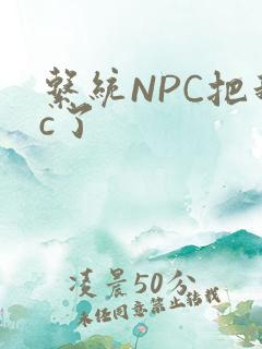 系统NPC把我c了