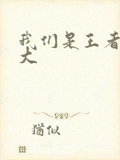 我们是王者立海大