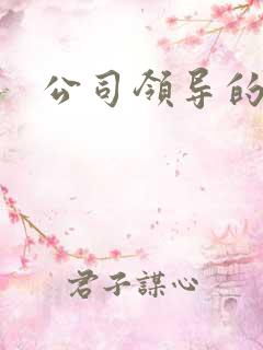 公司领导的老婆