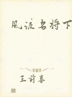 风流名将下载