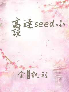 高达seed小说
