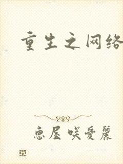 重生之网络大亨