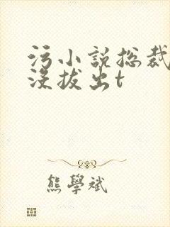 污小说总裁整夜没拔出t